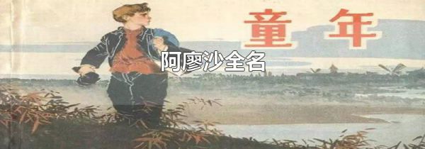 阿廖沙全名