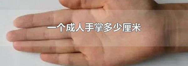 一个成人手掌多少厘米