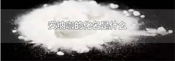 安纳咖的化名是什么