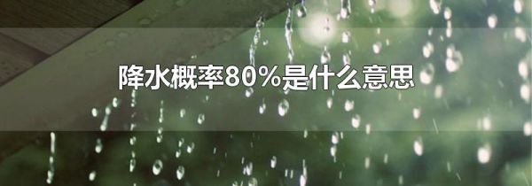 降水概率80%是什么意思