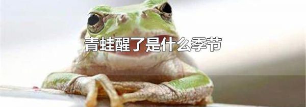 青蛙醒了是什么季节