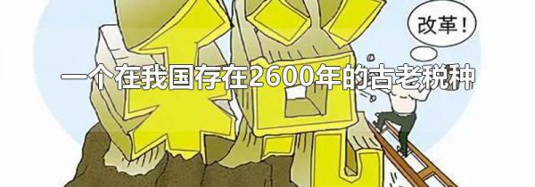 一个在我国存在2600年的古老税种