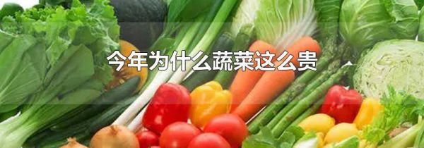 今年为什么蔬菜这么贵