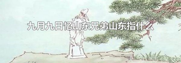 九月九日忆山东兄弟山东指什么