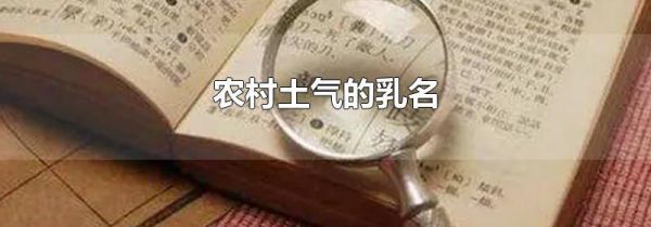 农村土气的乳名