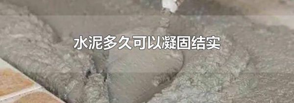 水泥多久可以凝固结实