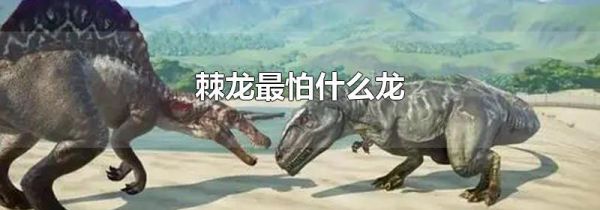 棘龙最怕什么龙