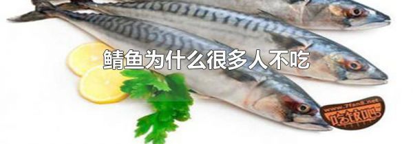 鲭鱼为什么很多人不吃