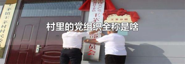 村里的党组织全称是啥