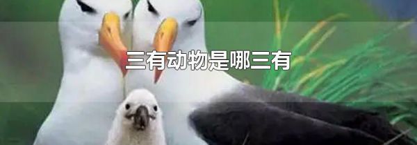 三有动物是哪三有