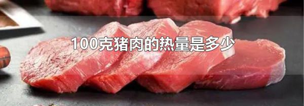 100克猪肉的热量是多少