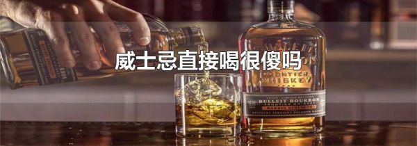 威士忌直接喝很傻吗