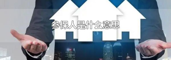 参保人是什么意思
