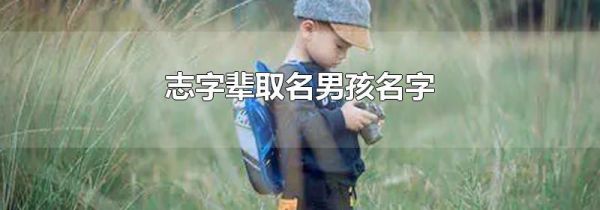 志字辈取名男孩名字