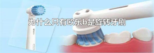 为什么只有欧乐b是旋转牙刷