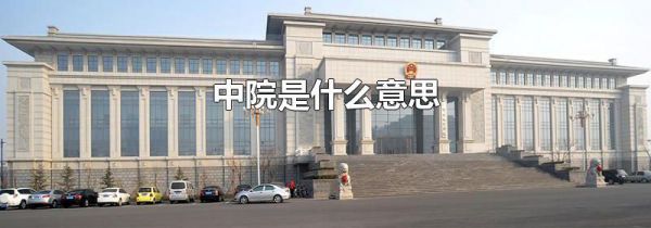 中院是什么意思