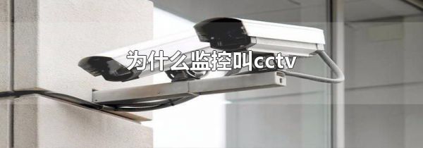 为什么监控叫cctv