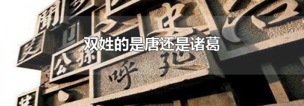 双姓的是唐还是诸葛