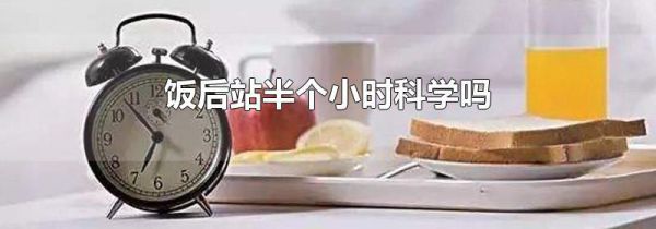 饭后站半个小时科学吗