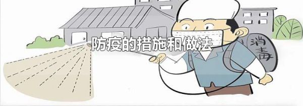 防疫的措施和做法
