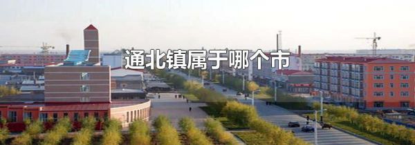 通北镇属于哪个市