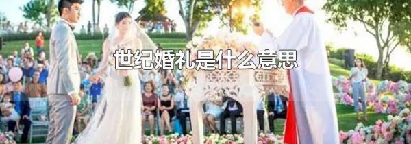 世纪婚礼是什么意思