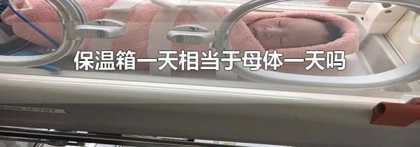 保温箱一天相当于母体一天吗