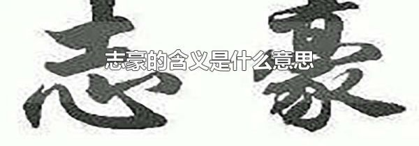 志豪的含义是什么意思