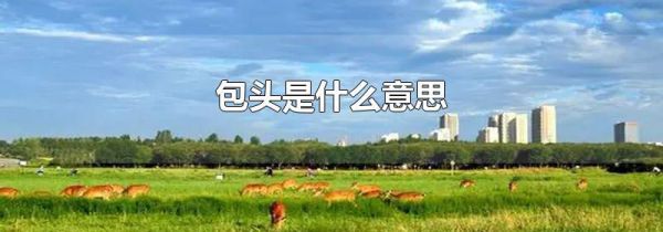 包头是什么意思