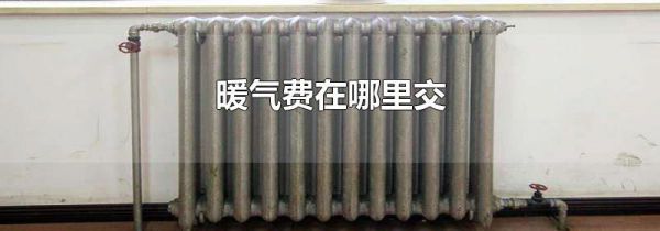 暖气费在哪里交