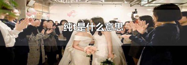 纯t是什么意思