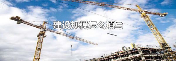 建设规模怎么填写