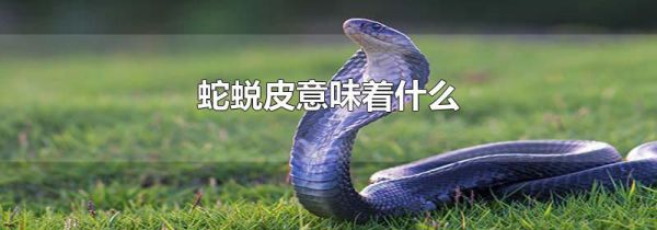 蛇蜕皮意味着什么