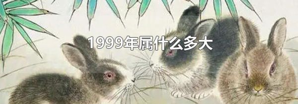 1999年属什么多大
