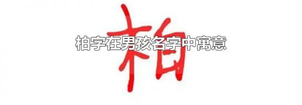 柏字在男孩名字中寓意