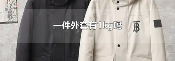 一件外套有1kg吗