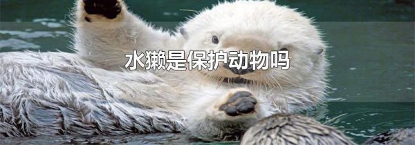 水獭是保护动物吗