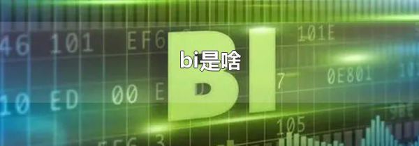 bi是啥