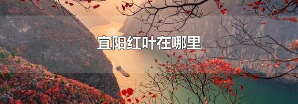 宜阳红叶在哪里