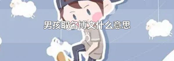 男孩取名博文什么意思