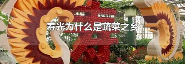 寿光为什么是蔬菜之乡