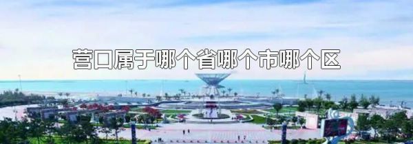 营口属于哪个省哪个市哪个区