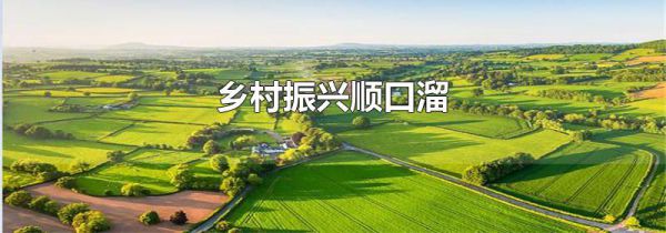 乡村振兴顺口溜