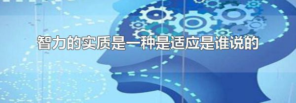 智力的实质是一种是适应是谁说的
