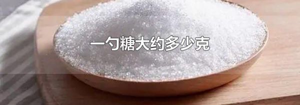 一勺糖大约多少克