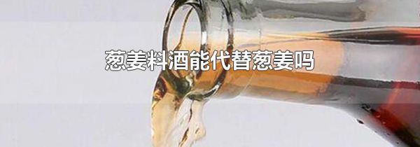 葱姜料酒能代替葱姜吗