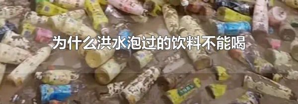 为什么洪水泡过的饮料不能喝
