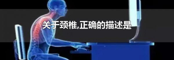 关于颈椎,正确的描述是