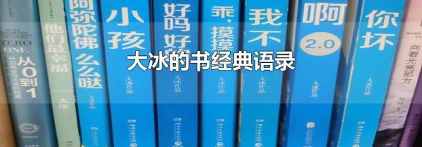 大冰的书经典语录