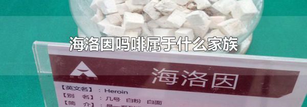 海洛因吗啡属于什么家族